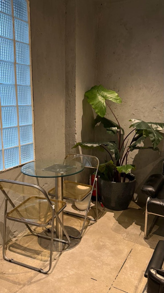 Corner Plant